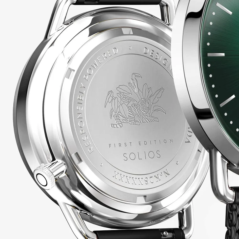 The Rainforest Curve | Green Dial - Silver Case