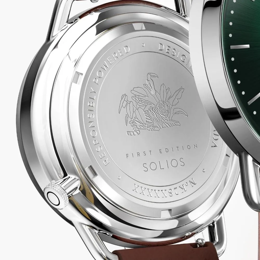 The Rainforest Curve | Green Dial - Silver Case