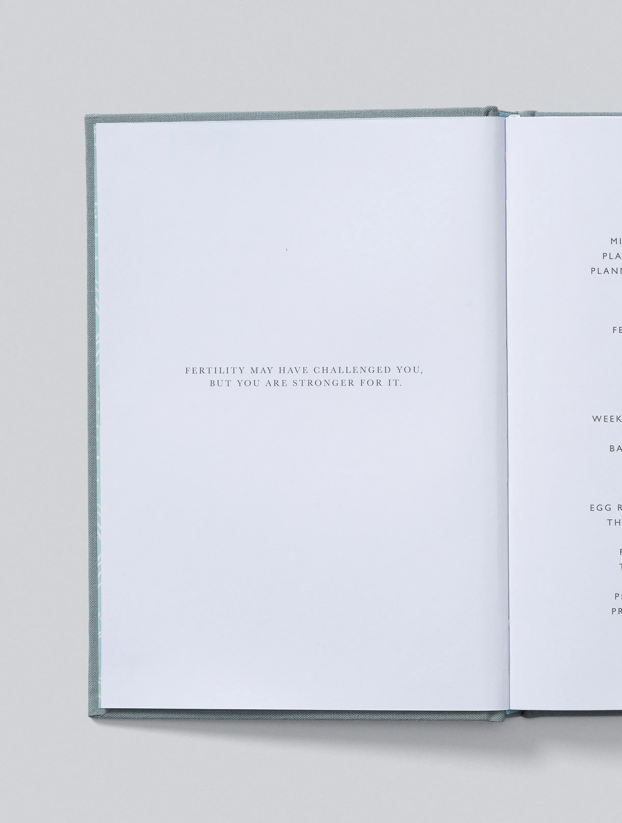 Write To Me - IVF Journal - Grey